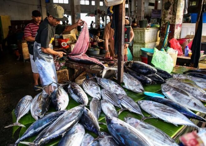 Ironi Dibalik Program MBG di Berau, Hasil Lokal Melimpah, Tapi Tak Tersentuh